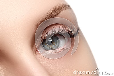 Macro shot of woman's beautiful eye with extremely long eyelashes. view, sensual look. Female eye with long eyelashes Stock Photo