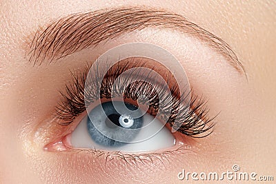 Macro shot of woman's beautiful eye with eyelashes. view, sensual look. Natural makeup. Macro shot of woman's beaut Stock Photo