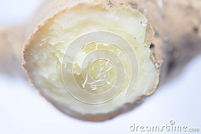 Macro sliced ginger Stock Photo