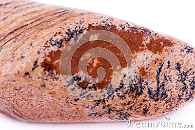 Macro stone mineral landscape jasper on a white background Stock Photo