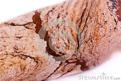 Macro stone mineral landscape jasper on a white background Stock Photo