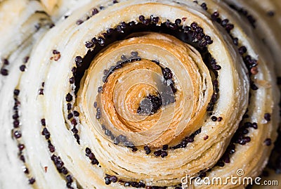 Macro tasty pastry top with poppy seeds Stock Photo