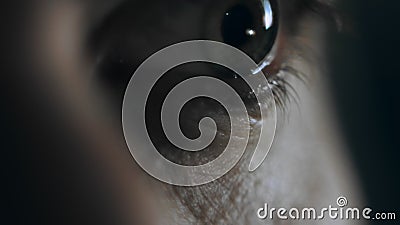 Macro tir de l'oeil d'un homme étant déprimé et fatigué Alcool fort potable de bouteille dans la solitude et la d?pression banque de vidéos Macro tir de l'oeil d'un homme étant déprimé et fatigué Alcool fort potable de bouteille dans la solitude et la d?pression banque de vidéos