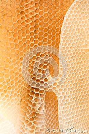 Wild bees wax honeycomb texture coseup. Form of irregular wax hexagons inside the beehive. Stock Photo