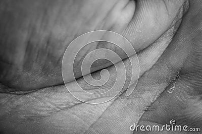 Macro view in black and white of a palm of a human male hand with lines and skin texture Stock Photo