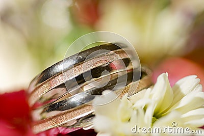 macro wedding rings Stock Photo