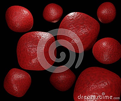 Isolated swollen erythrocyte in the black background Stock Photo