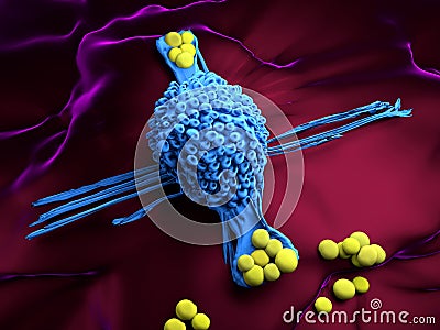 Macrophage cell Cartoon Illustration