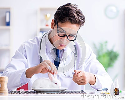 Mad crazy doctor preparing to eat rabbit Stock Photo