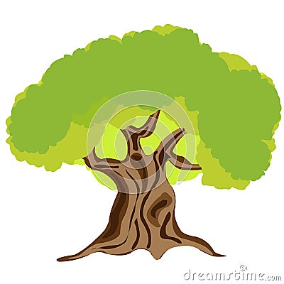 Made someone look fat tree on white Stock Photo