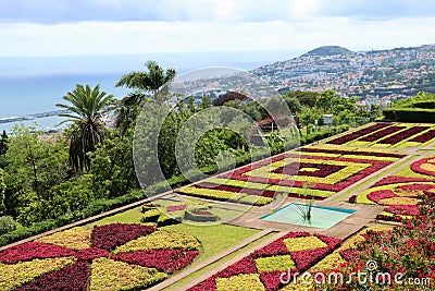 Madeira Botanical Garden Stock Photo