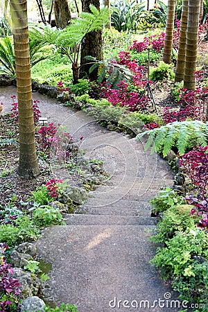 Madeira botanical garden Stock Photo