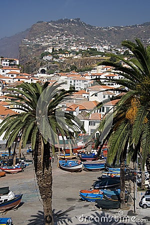 Madeira - Camara de Lobos Stock Photo