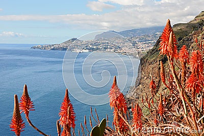 Madeira coast, Funchal Stock Photo