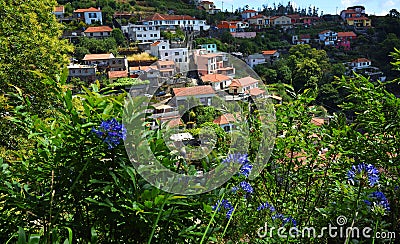 Madeira Hillside village view from levada walk with Agapanthus flowers. Stock Photo