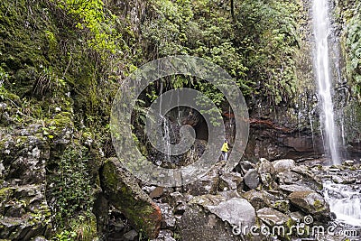 Madeira Levada Editorial Stock Photo