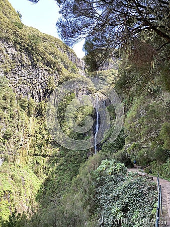 Madeira is the oldest resort in Europe. This is a mountainous region of eternal spring, drowning in flowers, covered with green Stock Photo