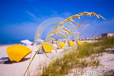 Madiera Beach and sea oats in Florida Stock Photo