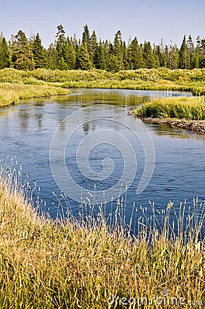 Madison river near West Yellowstone, USA Stock Photo