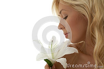 Madonna lily Stock Photo