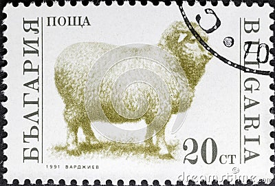 Sheep Ovis aries in stamp Editorial Stock Photo