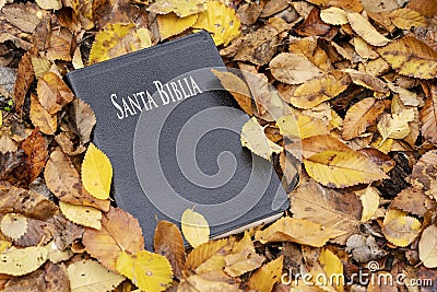 Holy Bible. Bible closed on top of fallen autumn leaves Stock Photo