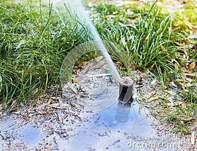 Irrigating a park with reclaimed water Stock Photo