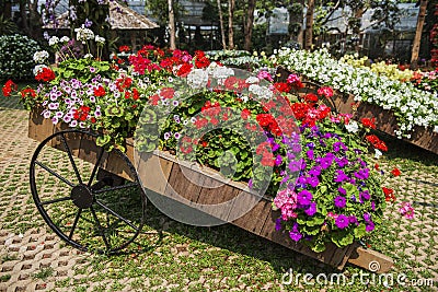 Mae Fah Luang Garden. Chiangrai ,Thailand Stock Photo