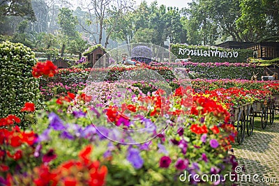 Mae Fah Luang Garden. Chiangrai ,Thailand Stock Photo