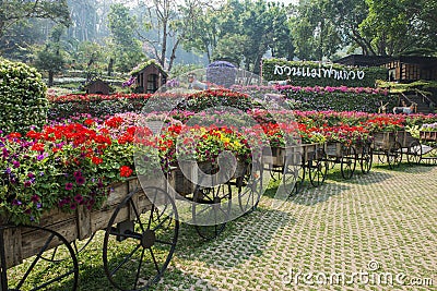Mae Fah Luang Garden. Chiangrai ,Thailand Stock Photo