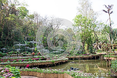 Mae Fah Luang Garden, DoiTung Stock Photo