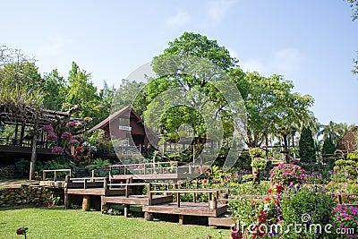 Mae Fah Luang Garden, DoiTung Stock Photo