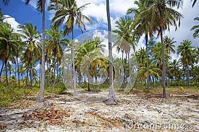 Mafia Island Stock Photo