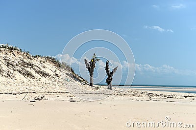 Magaruque Island - Mozambique Stock Photo