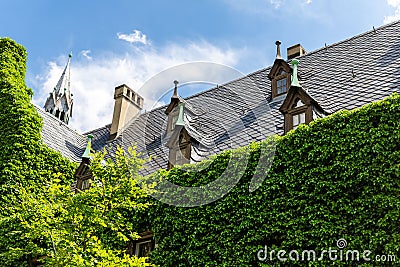 Magdeburg gothic medieval cathedral Dom church slate tile roof and green fresh Ivy covered old stone wall against clear Stock Photo