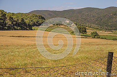 Mage of the Tuscan Maremma countryside in Italy Stock Photo