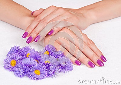 Magenta fingernails and purple flowers Stock Photo