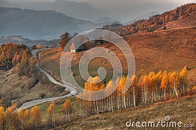 Magic autumn athmosfere Stock Photo