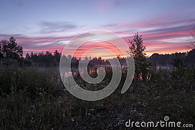 Magic colourful sunrise by the lake with morning fog. Silhouette of trees, meadow and water with colourful reflections. Beautiful Stock Photo