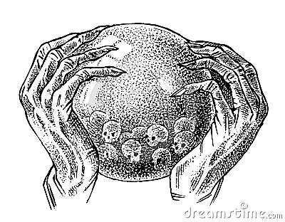 Magic crystal ball in the hands of a fortune teller. Soothsayer or predictor looks to the future. Ancient mythical Mitt Vector Illustration