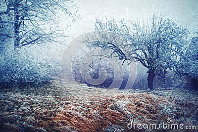 magic frozen trees and painting effect. Stock Photo