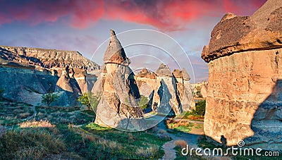 Magic fungous forms of sandstone in the canyon near Cavusin village, Cappadocia, Nevsehir Province in the Central Anatolia Region Stock Photo