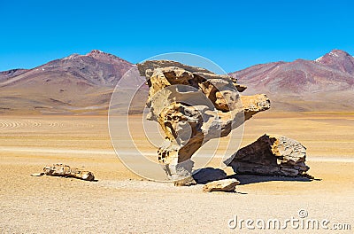 Rock Tree in the Siloli Desert, Bolivia Stock Photo