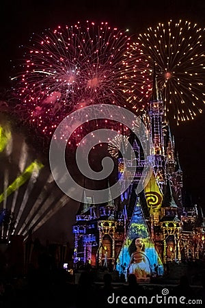 Magic Kingdom Cinderella Castle Fireworks Orlando Editorial Stock Photo