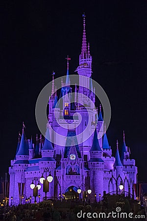 Magic Kingdom Cinderella Castle Orlando Florida Editorial Stock Photo