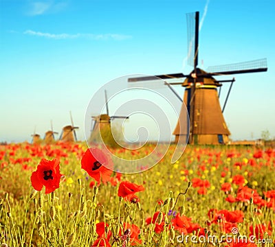 Magic landscape with a field of poppies and wind Mills on a sunn Stock Photo