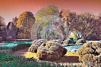 Magic Landscape Garden Stock Photo