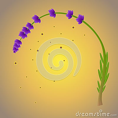 Magic lavender branch purple color and a falling pollen Vector Illustration