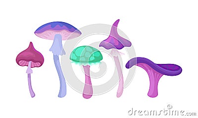 Magic Mushrooms Vector Set. Fairy Colorful Fungi Collection. Vector Illustration