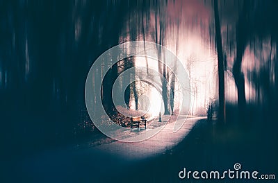 Magic, mysterious forest with trees in fog. Halloween concept Stock Photo